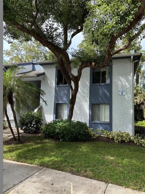 104 CYPRESS LN # 104, OLDSMAR, FL 34677 - Image decf398bfa5c6cf683d90864e80ebd9f/2793366833