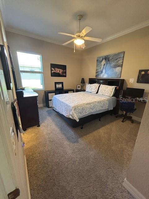 THE PLANTATIONS AT TARA GOLF & CTRY CLUB - Residential