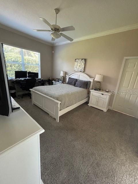 THE PLANTATIONS AT TARA GOLF & CTRY CLUB - Residential