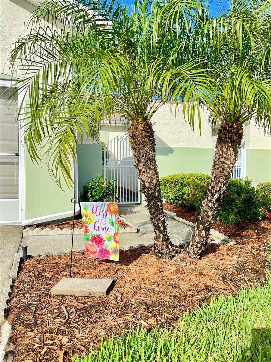 761 TREMONT GREENS LANE 61