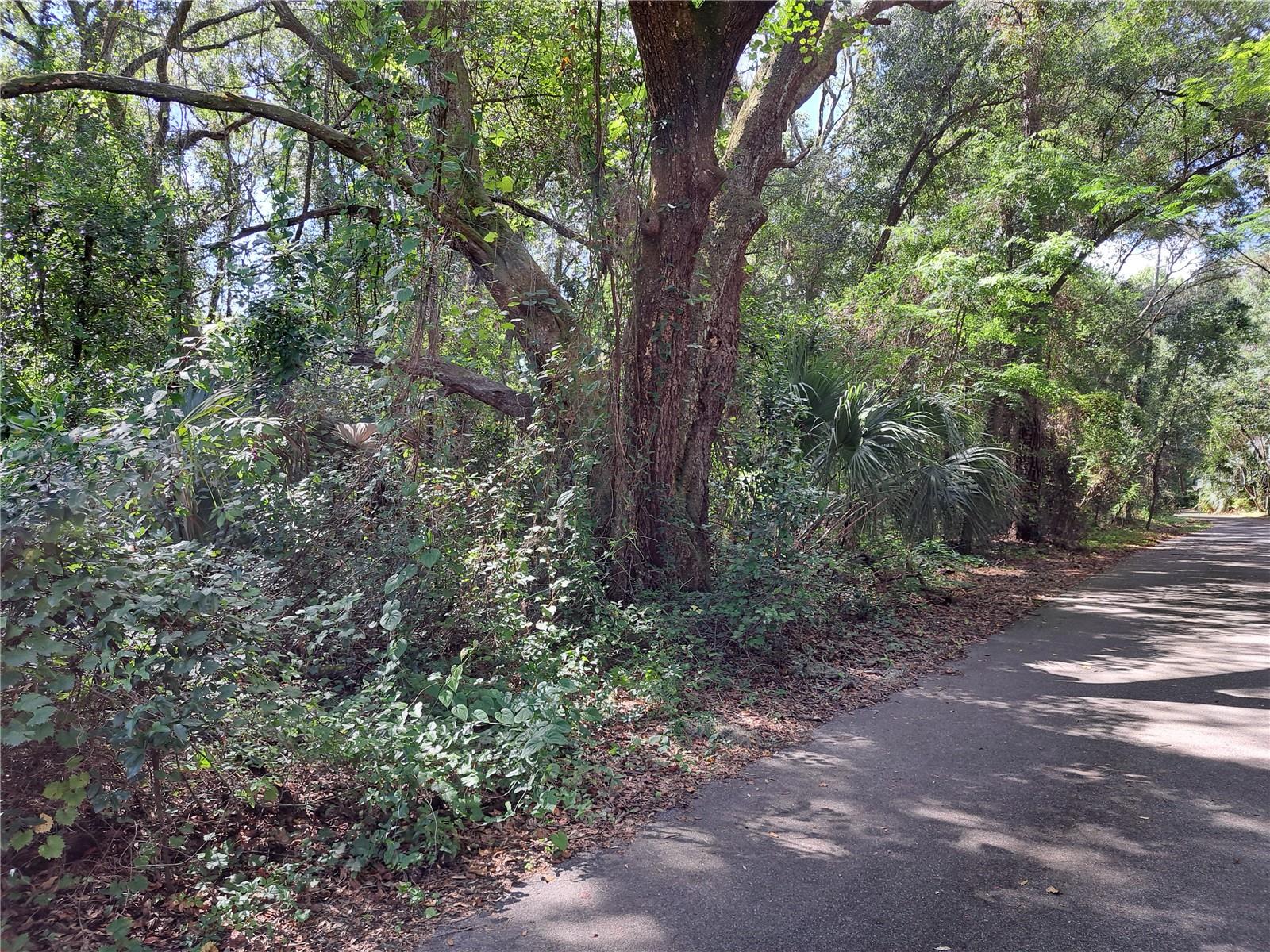 MADERA CLUSTER DEV PH 2 - Land