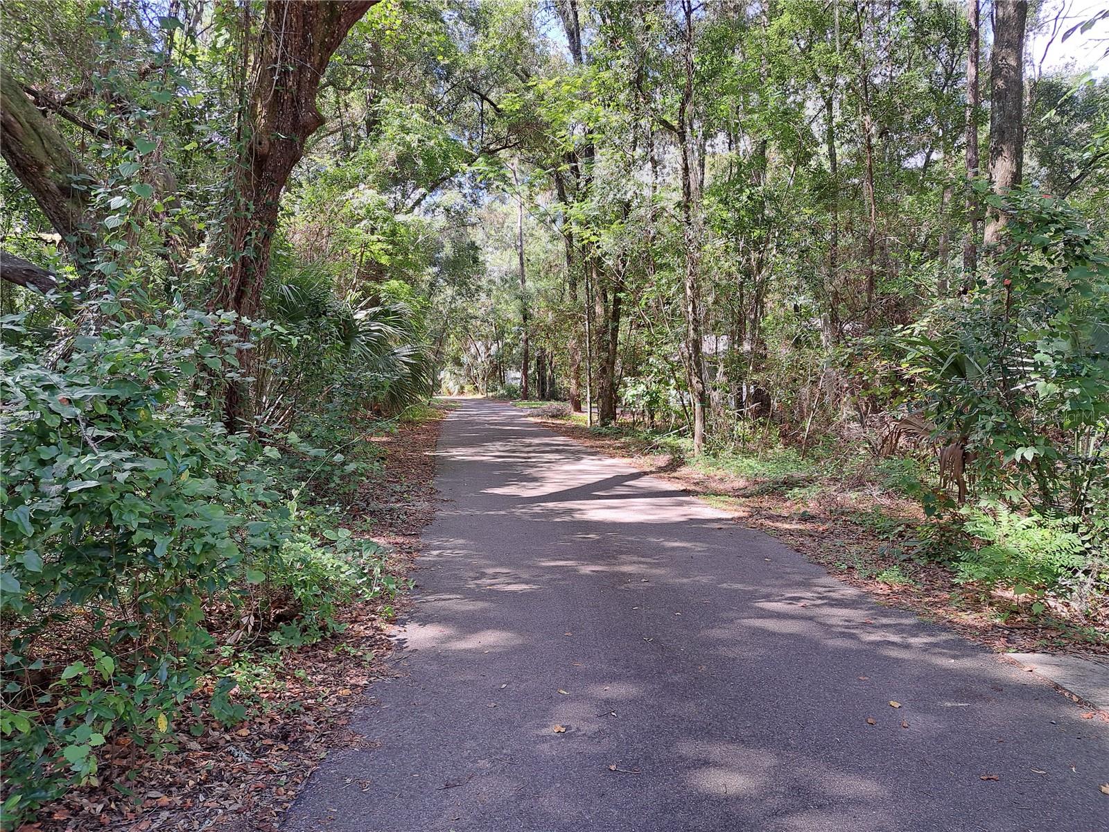 MADERA CLUSTER DEV PH 2 - Land