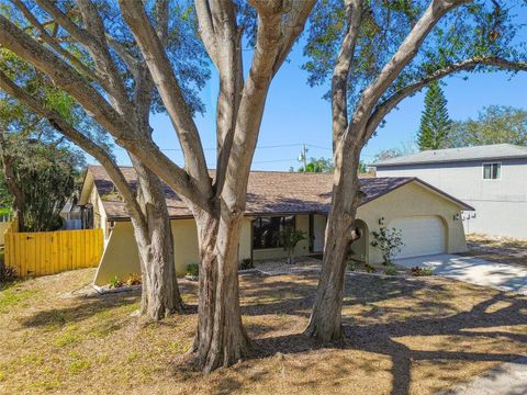 A home in TARPON SPRINGS