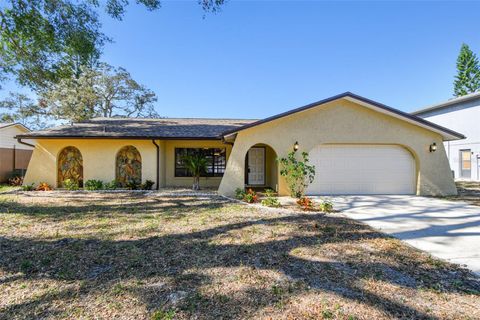 A home in TARPON SPRINGS