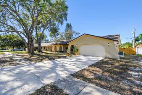 A home in TARPON SPRINGS