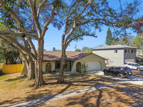 A home in TARPON SPRINGS