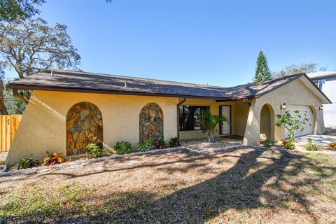 A home in TARPON SPRINGS