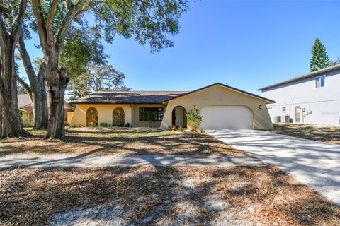 A home in TARPON SPRINGS