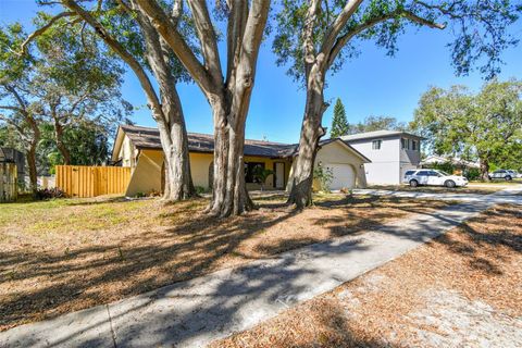 A home in TARPON SPRINGS