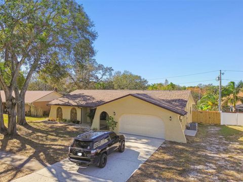 A home in TARPON SPRINGS