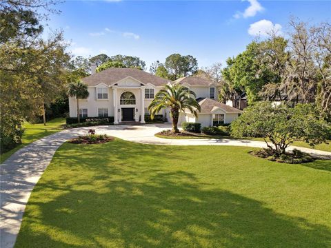 6413 MACLAURIN DRIVE TAMPA FL 33647