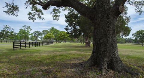 Tiny photo for 13381 W Hwy 40 (lot 7), Ocala, FL 34481 (MLS # OM704155)