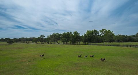 Tiny photo for 13381 W Hwy 40 (lot 7), Ocala, FL 34481 (MLS # OM704155)