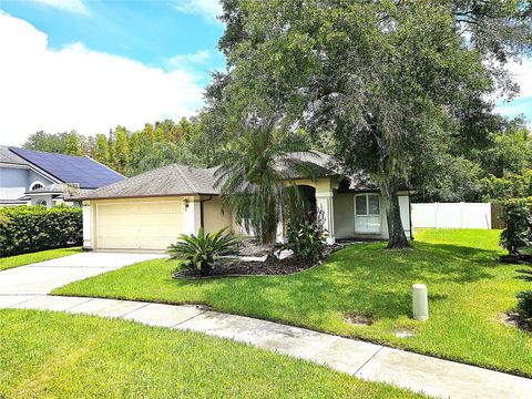 A home in WESLEY CHAPEL