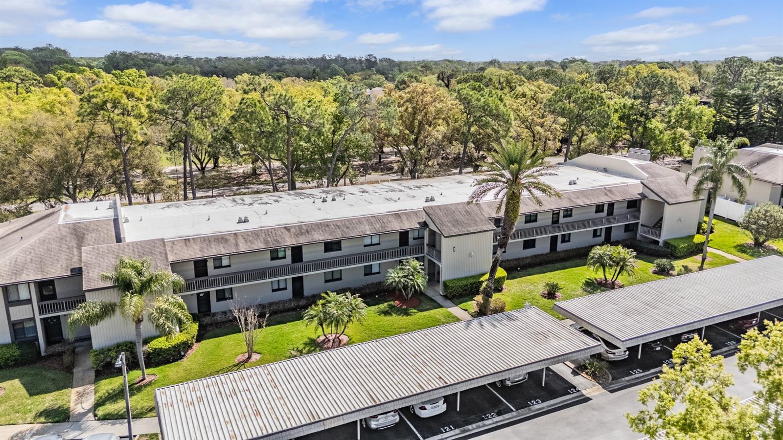 EAST LAKE WOODLANDS CONDO - Residential