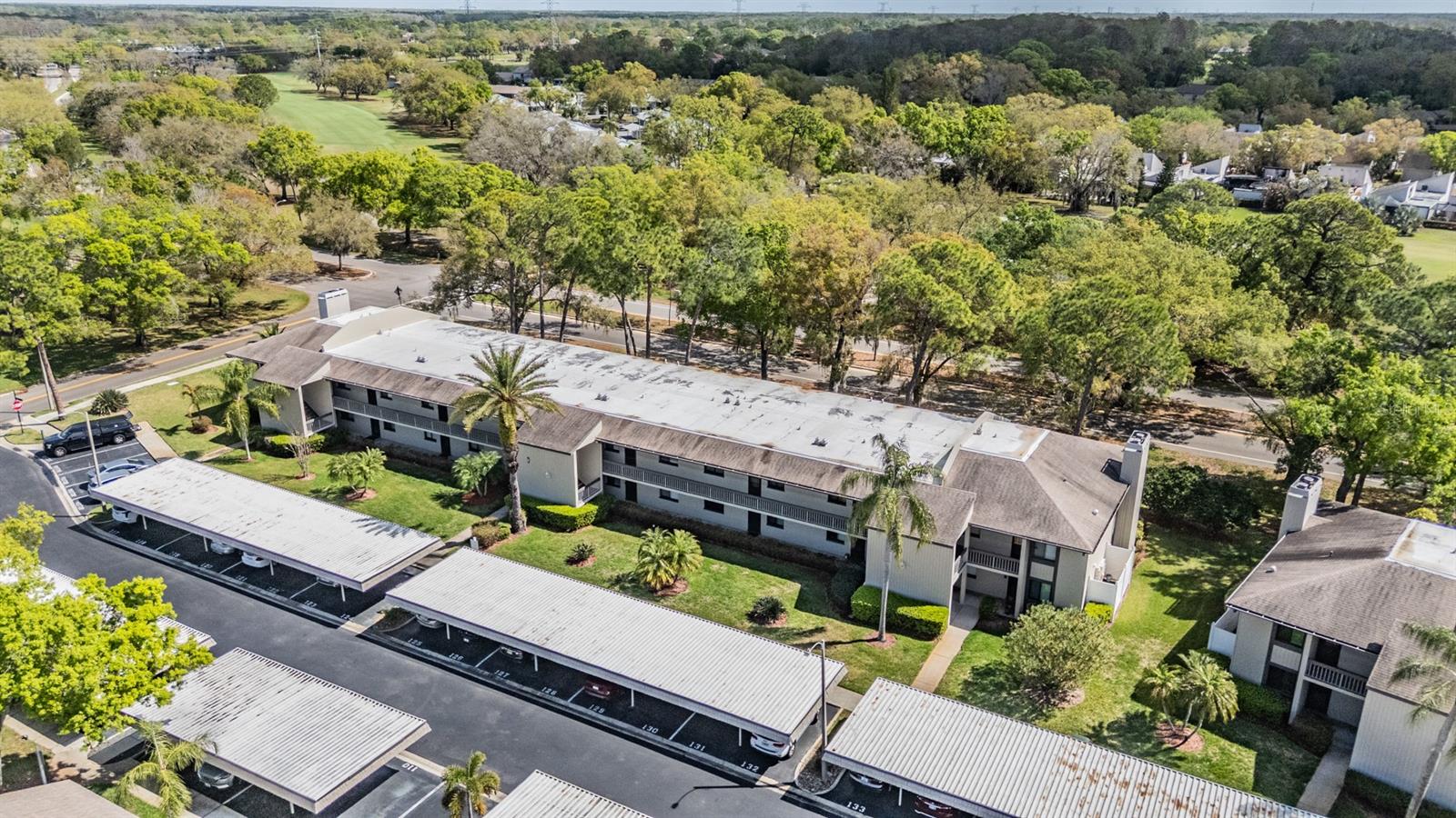 EAST LAKE WOODLANDS CONDO - Residential