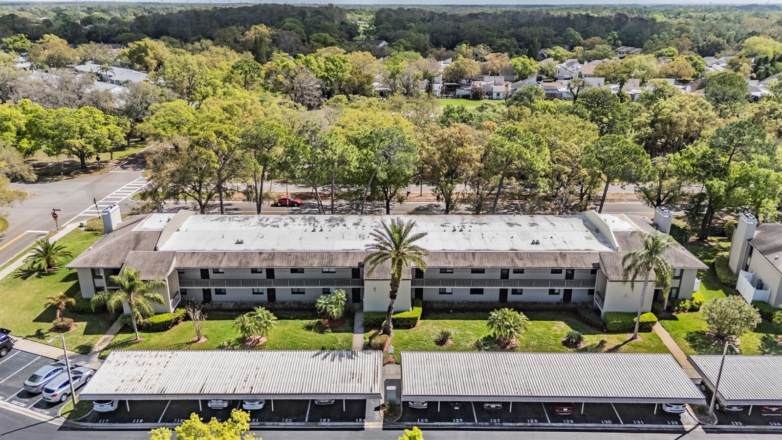 EAST LAKE WOODLANDS CONDO - Residential