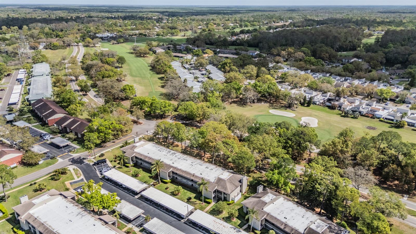 EAST LAKE WOODLANDS CONDO - Residential