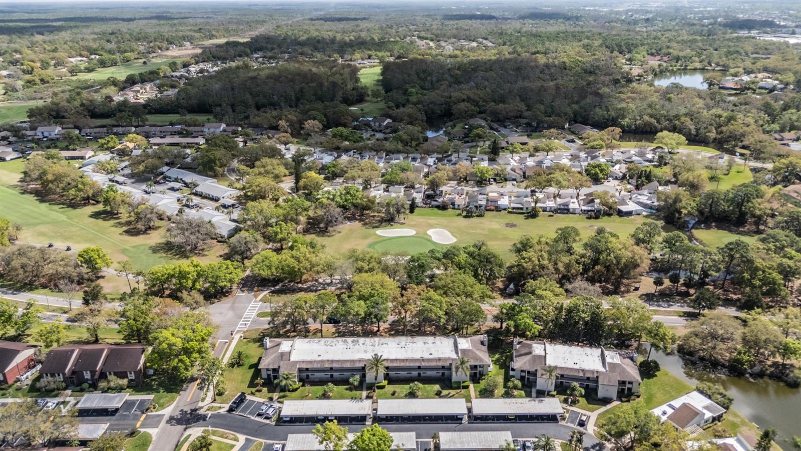 EAST LAKE WOODLANDS CONDO - Residential