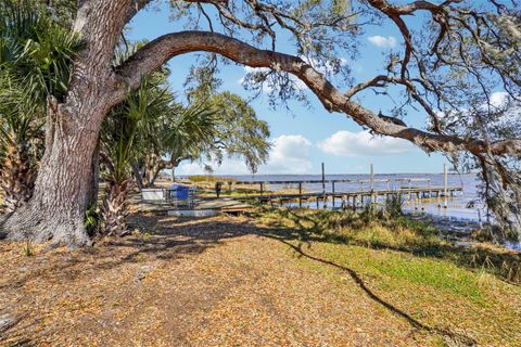 Tiny photo for 37048 County Road 452, Grand Island, FL 32735 (MLS # G5107048)