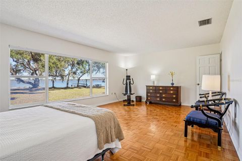 Tiny photo for 37048 County Road 452, Grand Island, FL 32735 (MLS # G5107048)