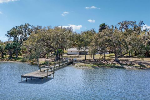 Photo of 37048 County Road 452, Grand Island, FL 32735 (MLS # G5107048)