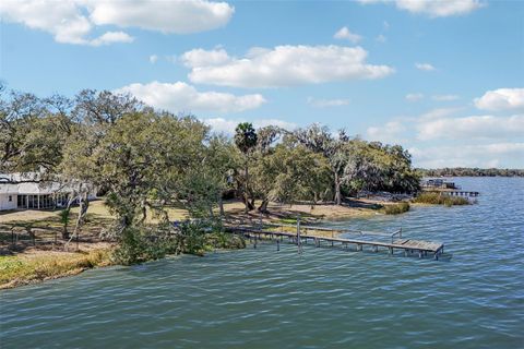 Tiny photo for 37048 County Road 452, Grand Island, FL 32735 (MLS # G5107048)