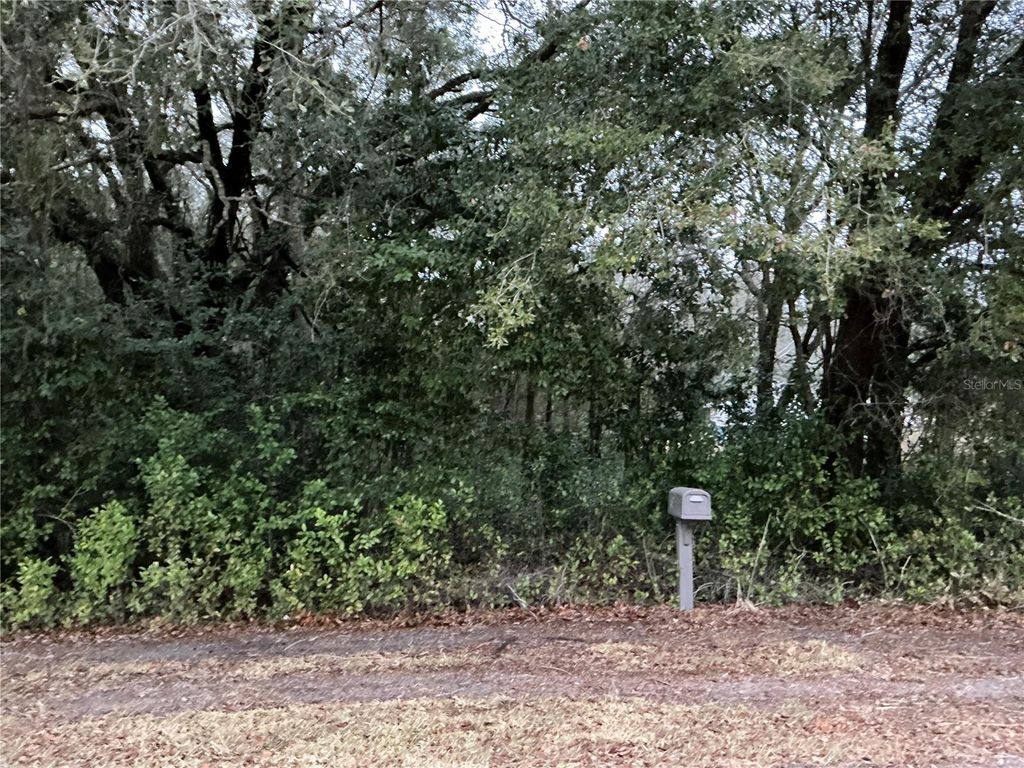 Photo of 0 SE 143rd Place, Summerfield, FL 34491 (MLS # OM725097)
