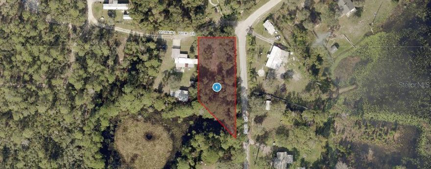 Take advantage of this 0.44-acre vacant lot on Morning View Drive in Paisley, Florida (32767). "Zoning: A" Offering a peaceful setting in a quiet community, this parcel provides ample space. Its manageable size makes it ideal for easy maintenance while still allowing for a comfortable  layout. Conveniently located near local amenities, schools, and natural attractions, this lot combines small-town charm with accessibility, making it a fantastic opportunity for  investors alike.Pin Location: Latitude 28.98021896, Longitude -81.52028022