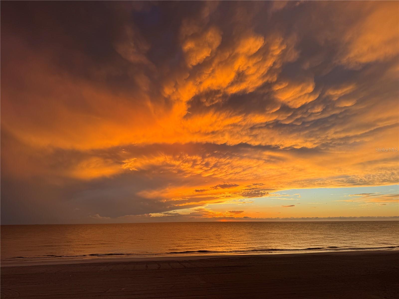 BELLA PLAYA TWNHMS - Residential