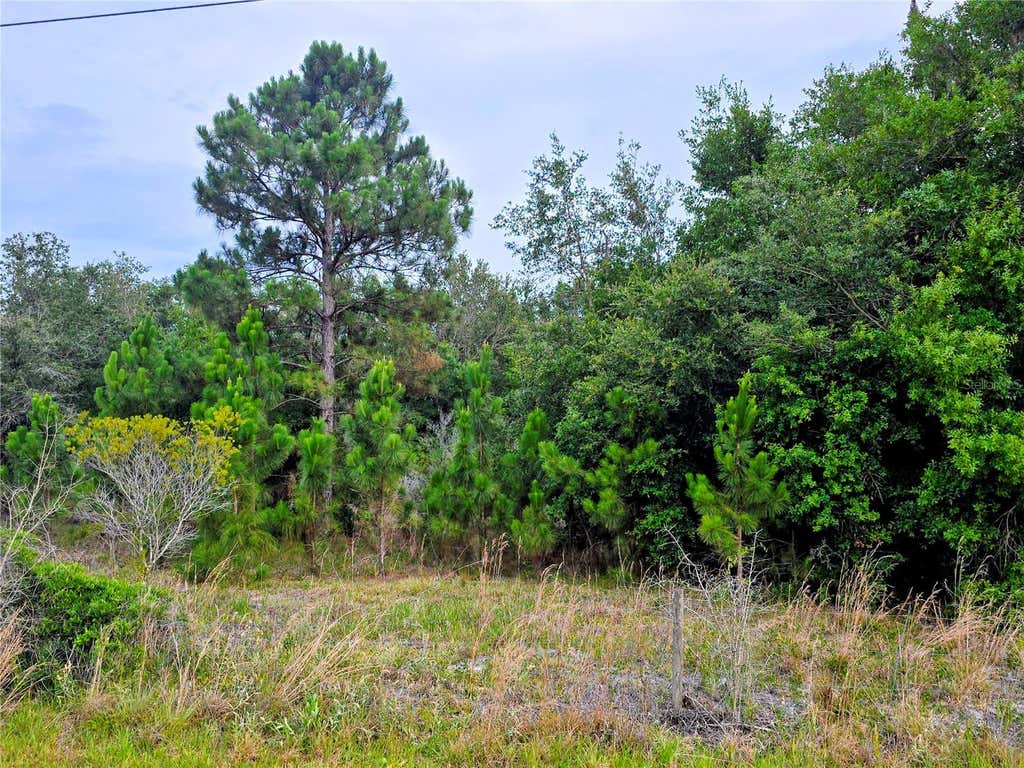 Photo of 0 Avon Park Cutoff Road, Fort Meade, FL 33841 (MLS # B4902335)