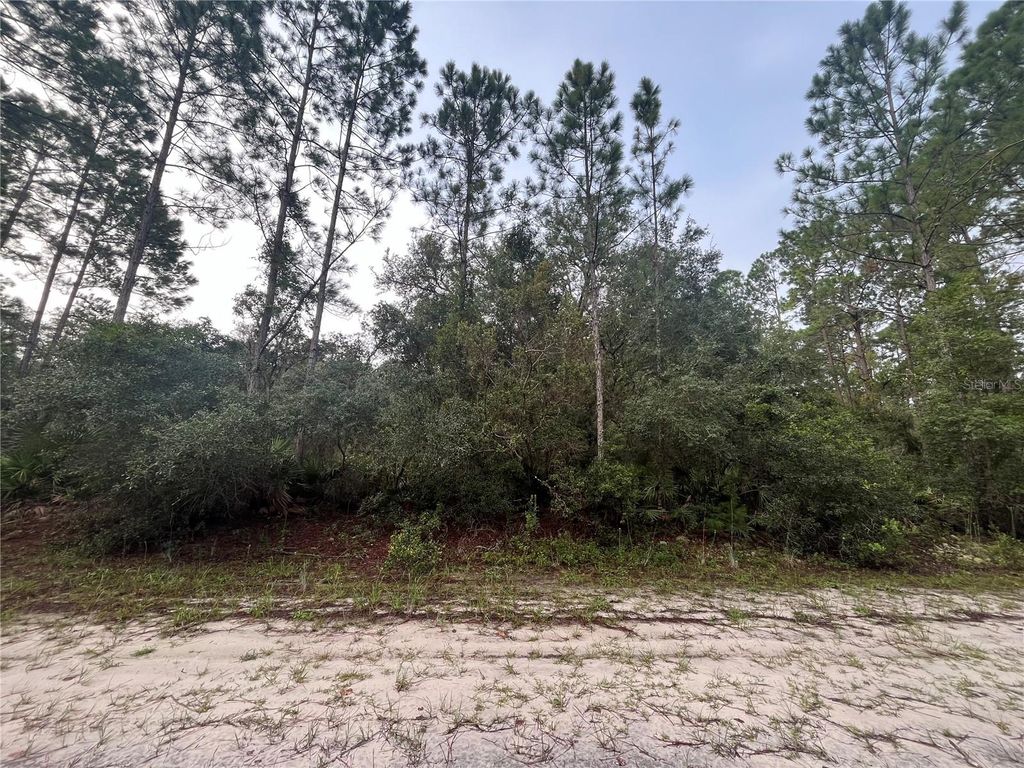 Photo of 119 Gardenia Avenue, Georgetown, FL 32139 (MLS # K4903404)
