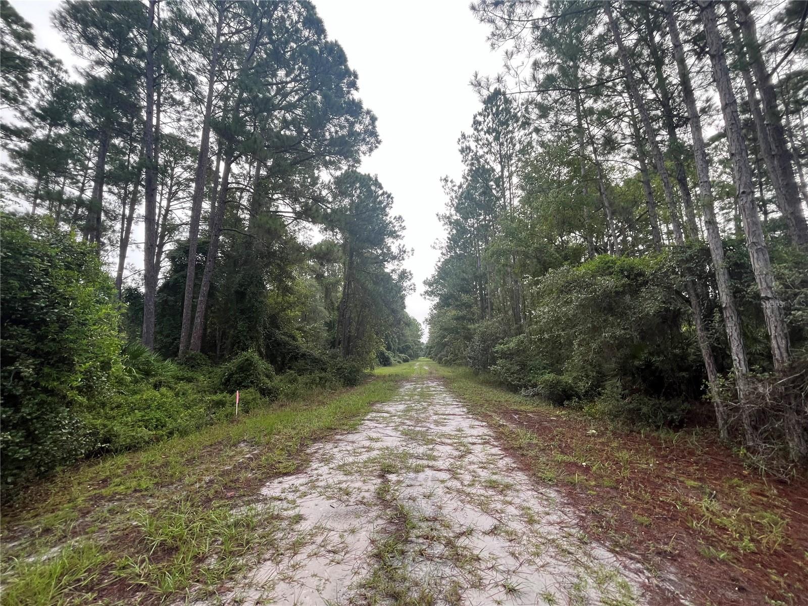 PARADISE LAKES SUB - Land