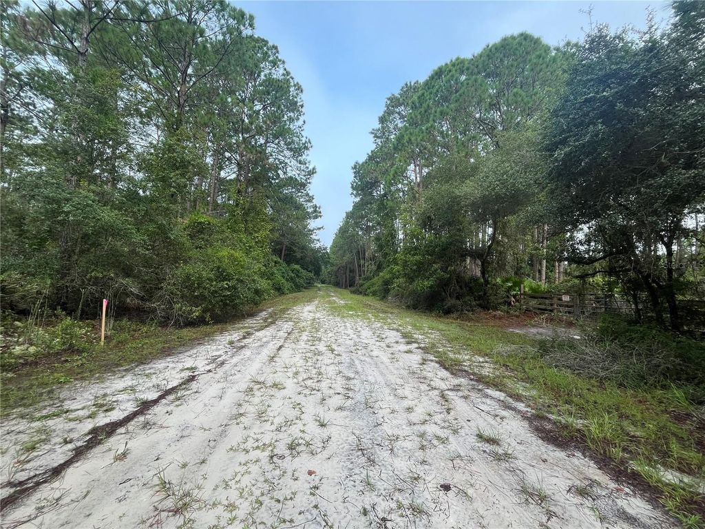 Photo of 119 Gardenia Avenue, Georgetown, FL 32139 (MLS # K4903404)