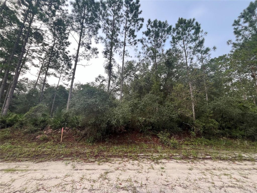 Photo of 119 Gardenia Avenue, Georgetown, FL 32139 (MLS # K4903404)