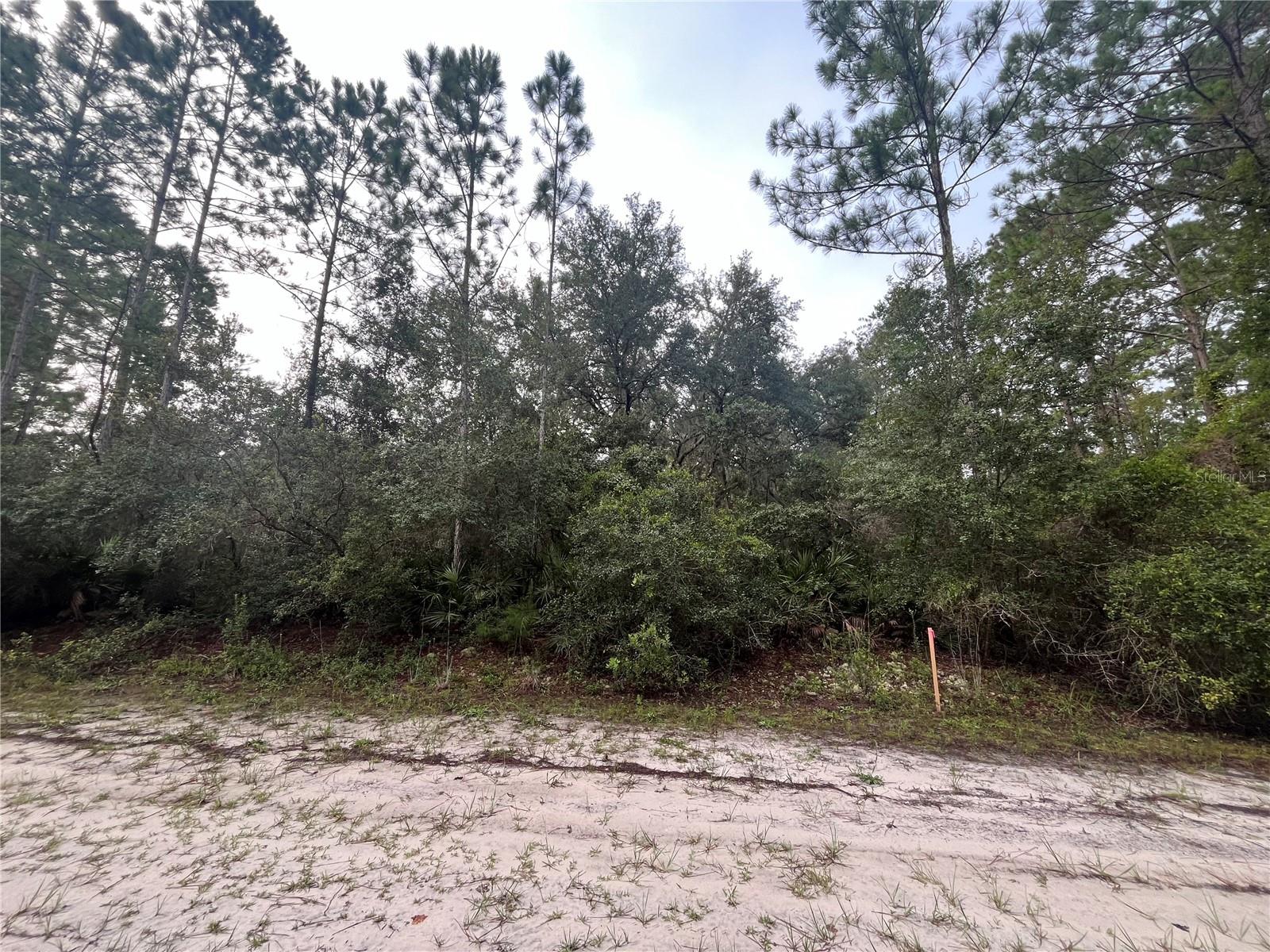 PARADISE LAKES SUB - Land