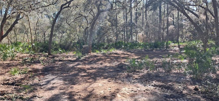 FINANCING AVAILABLE! Country living at its finest! Come see this beautiful 0.23-acre cleared lot located in the desirable Georgetown area. Perfect for building your dream home or bringing a manufactured home. Residents enjoy access to the St. Johns River Rod & Reel Club, complete with a boat ramp, fishing pier, and access to Lake George. Spend your days boating and fishing on the river and lake, or swimming in the crystal-clear waters of Salt Springs and Silver Glen Springs. Don't miss this opportunity to own a slice of Florida paradise! Also available is the adjacent lot 120 Gardenia making it possible to own 0.46 acres. Buyer to verify all property details including zoning, utilities, land use, and building requirements. All information deemed reliable but not guaranteed.
