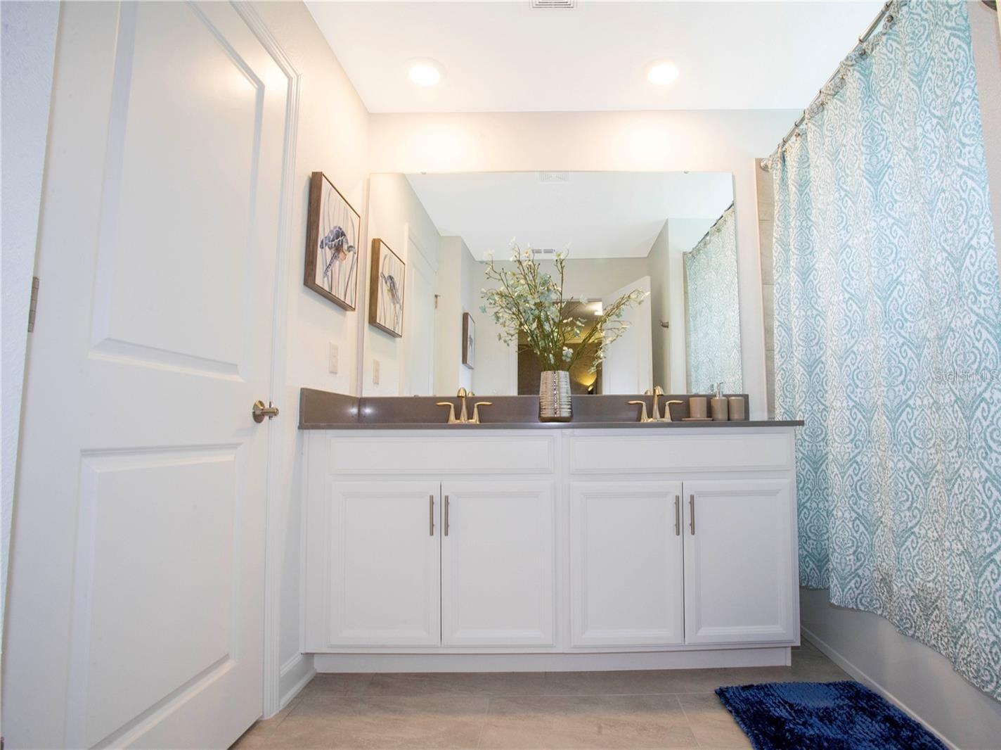 COVE AT STOREY LAKE 4 - Residential