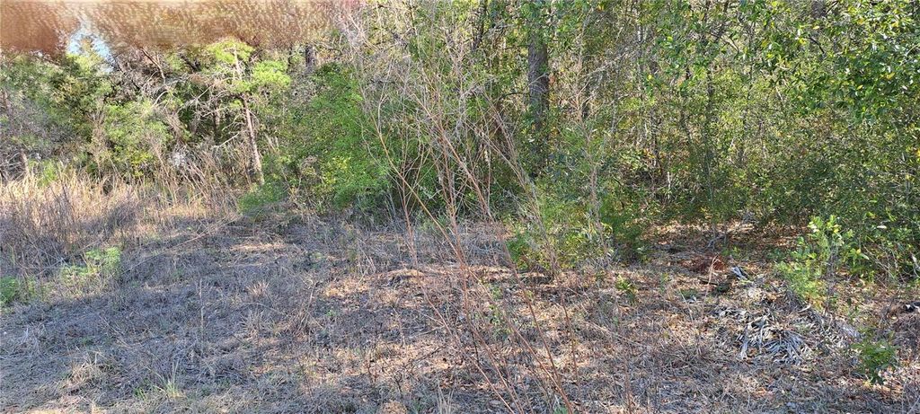 Photo of 3844 E Crystal Lane, Inverness, FL 34452 (MLS # OM698183)