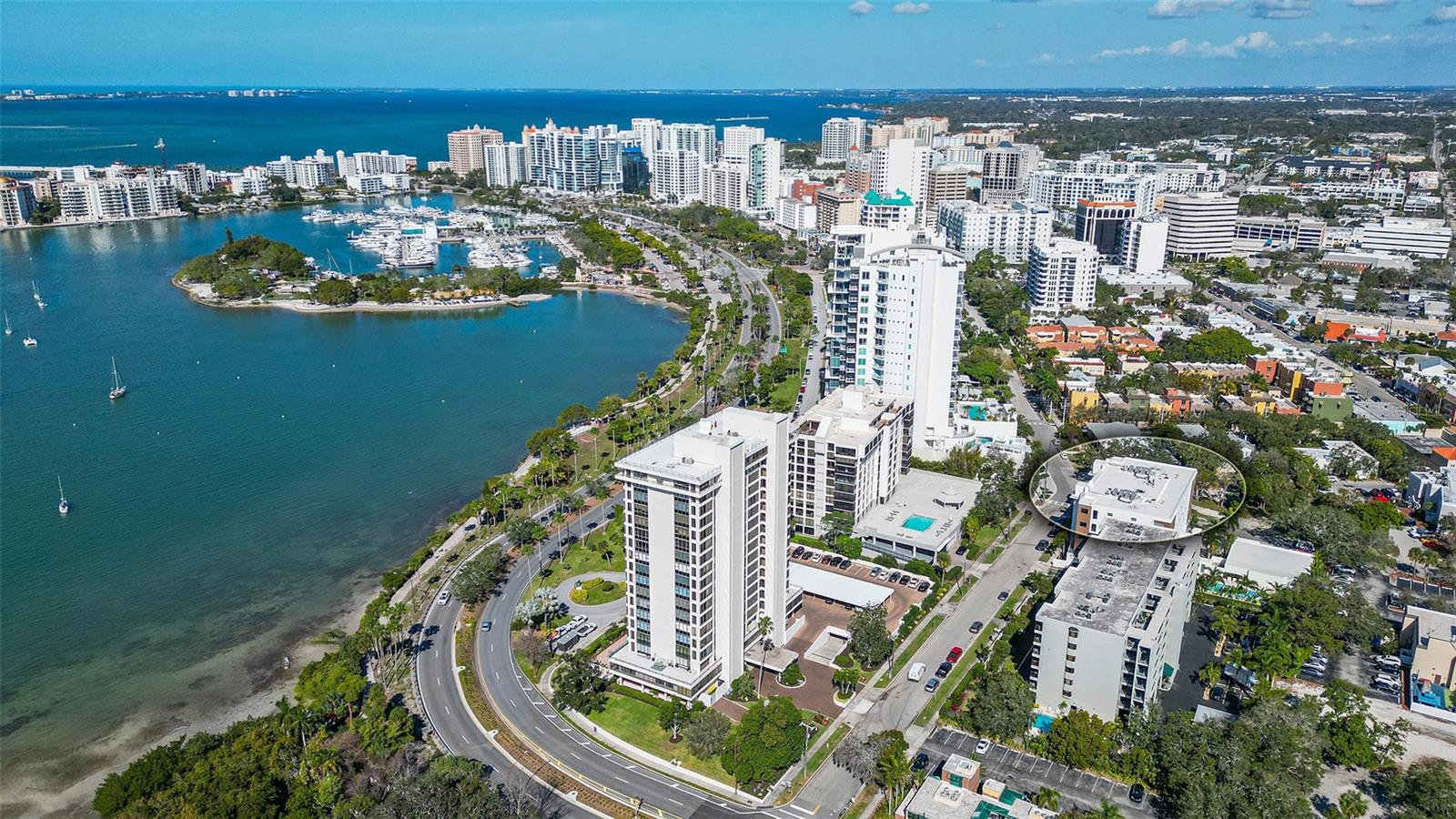 711 S PALM AVENUE 203