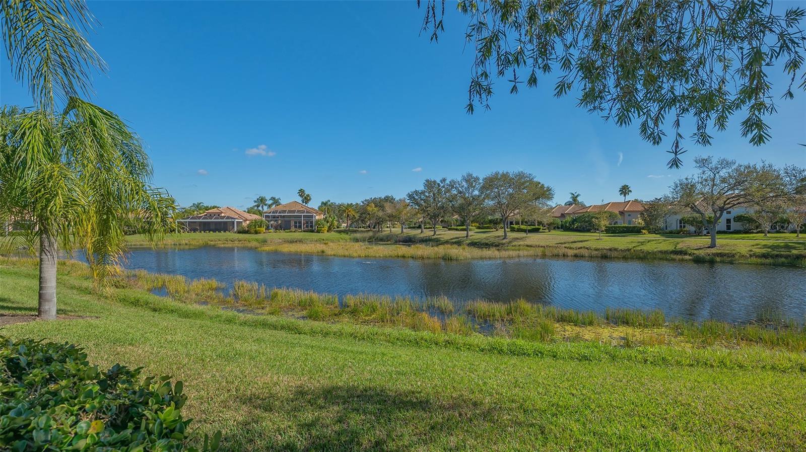 MIRA LAGO AT PALMER RANCH PH 1 - Residential