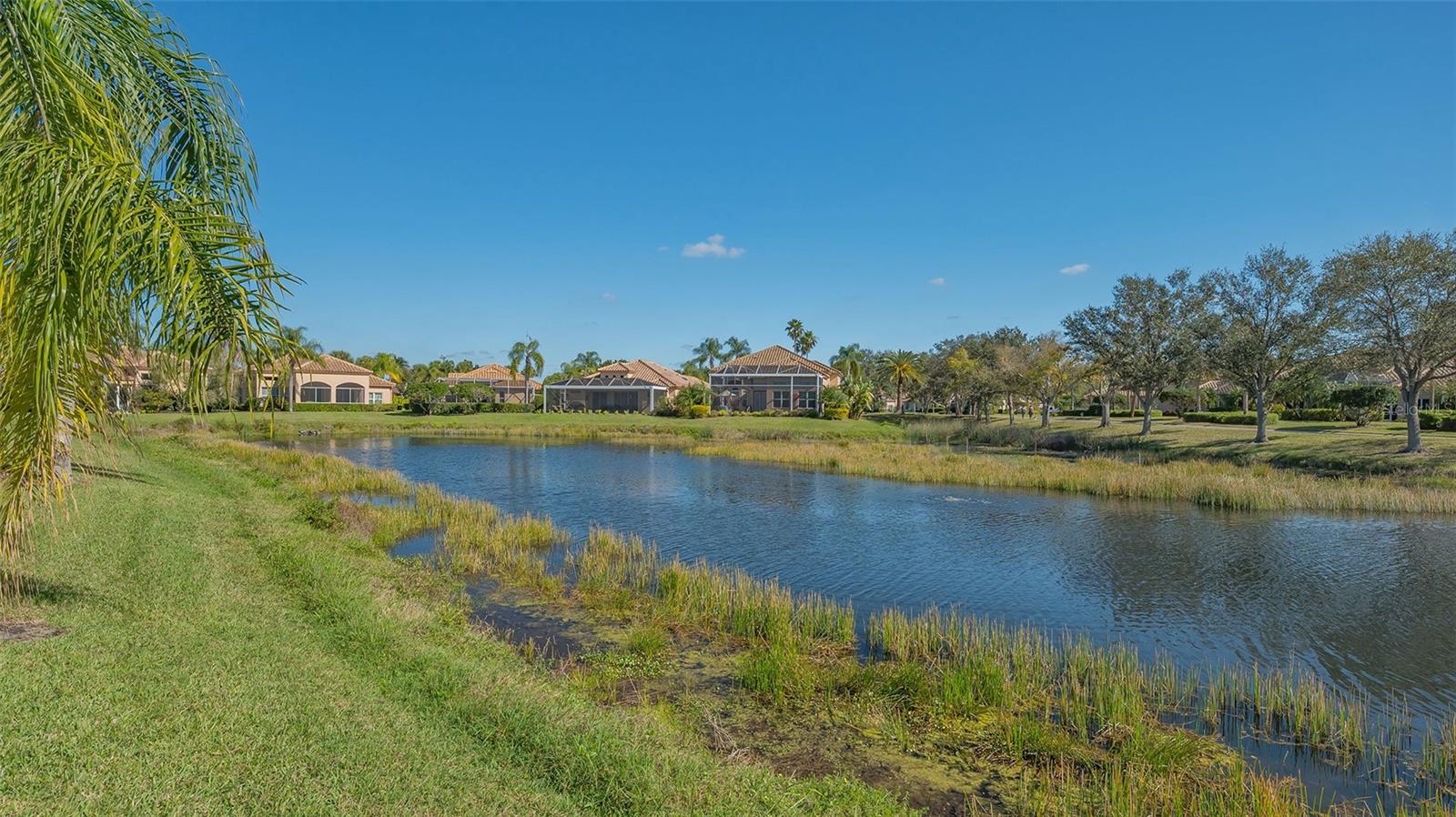 MIRA LAGO AT PALMER RANCH PH 1 - Residential