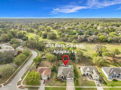 Photo of 934 Rock Creek Street, Apopka, FL 32712 (MLS # O6390997)
