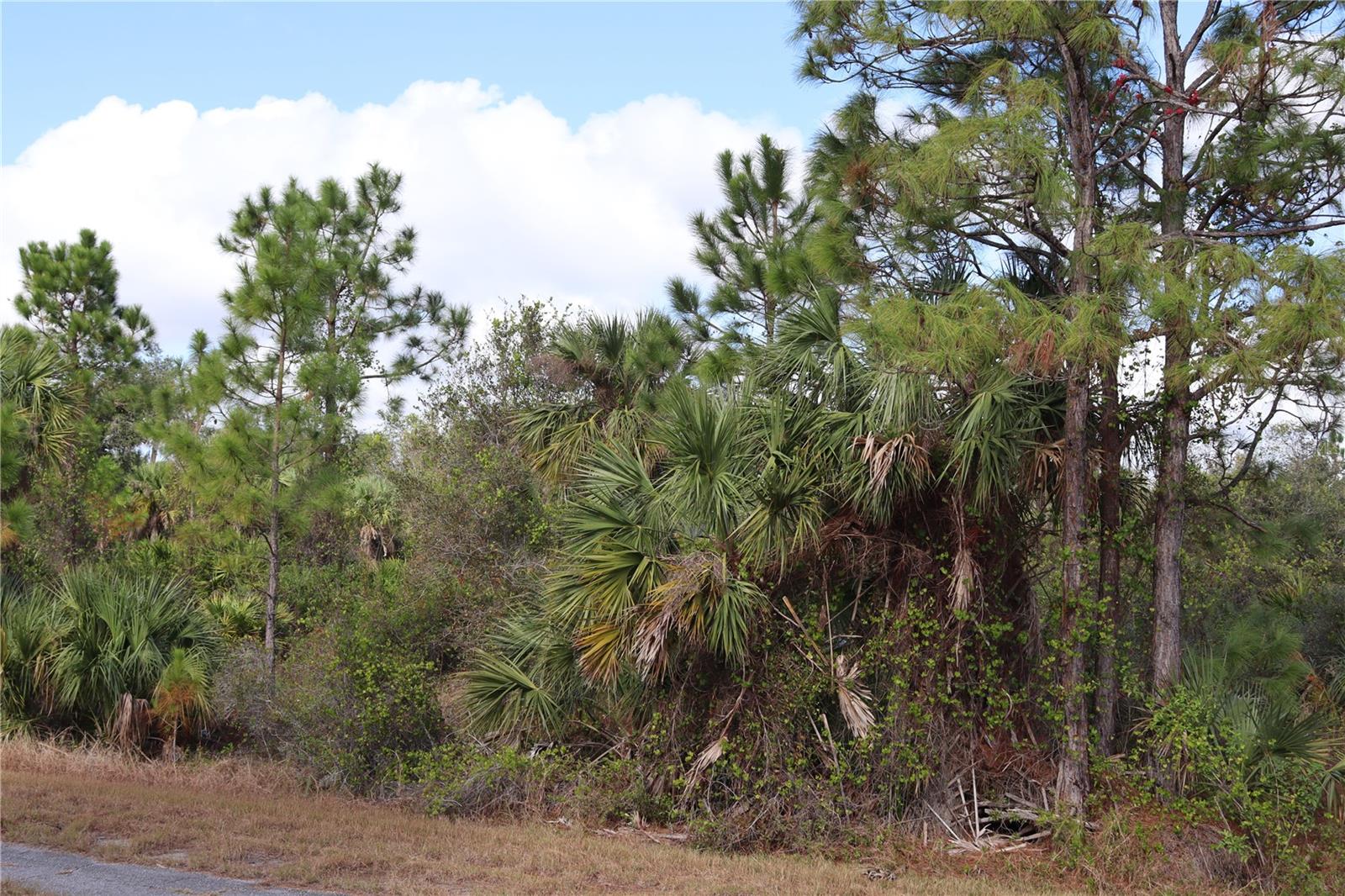 PORT CHARLOTTE SUB 44 - Land