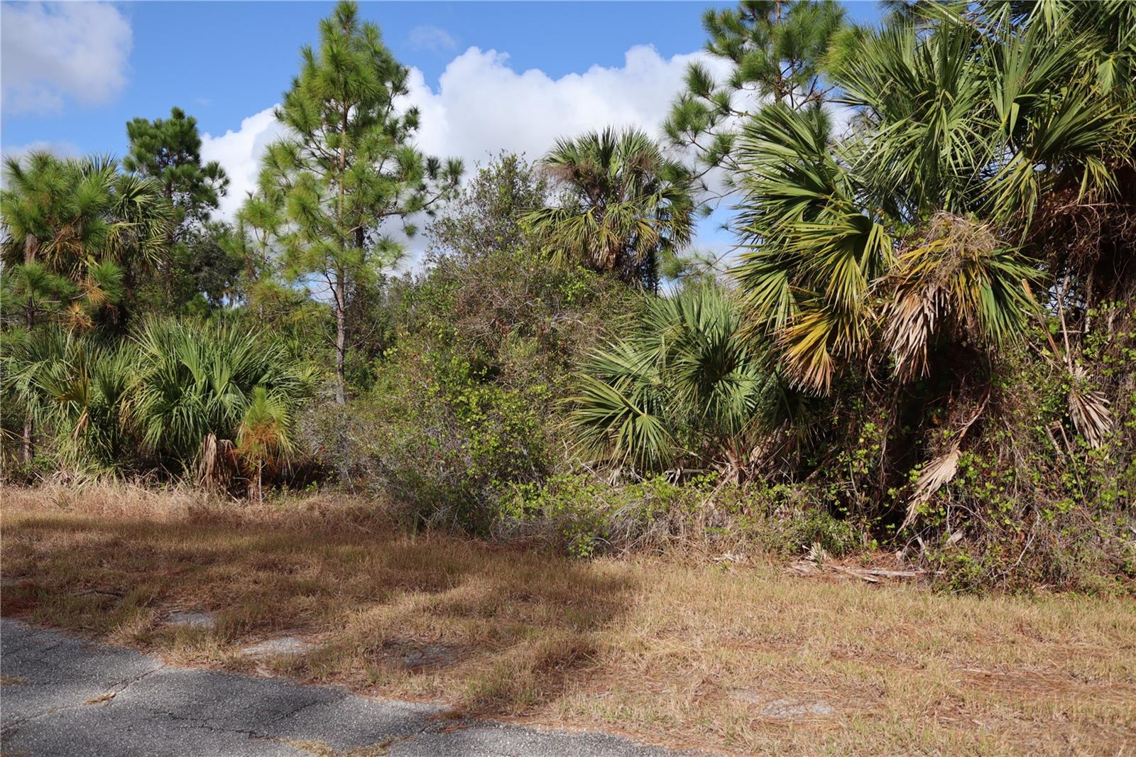 This beautiful, oversized lot—more than 10,000 square feet—is located on a quiet cul-de-sac in North Port, one of the fastest-growing cities in Florida. The street is newly paved, the area is peaceful, and the location is just perfect!
You’ll be close to everything: only 5 minutes from Dollar Tree, 10 minutes from Walmart, and just 30 minutes from the gorgeous beaches of Venice or Englewood. Want even more? Punta Gorda is only 15 minutes away, with great dining, shopping, and fun things to do.
The lot already has a survey, so it’s ready for your plans. Whether you’re looking to build a home or invest, this property is the perfect opportunity. Drive by today and check it out—don’t wait too long!
Price Reduction