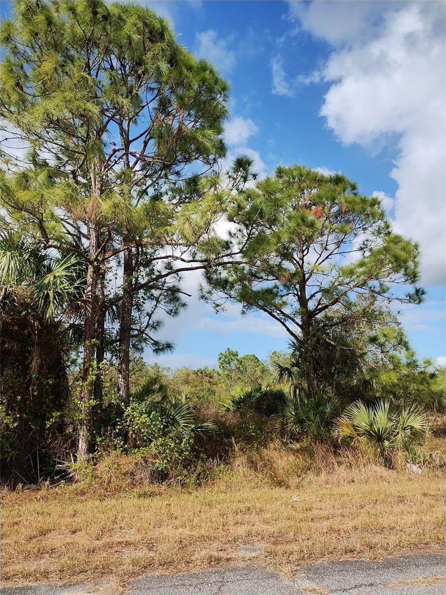 PORT CHARLOTTE SUB 44 - Land