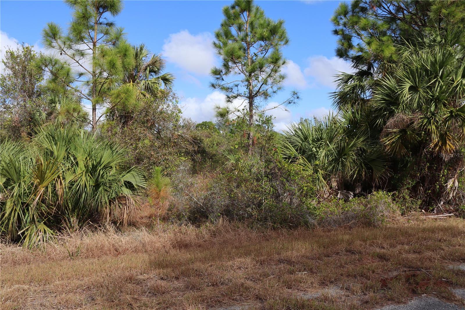 PORT CHARLOTTE SUB 44 - Land