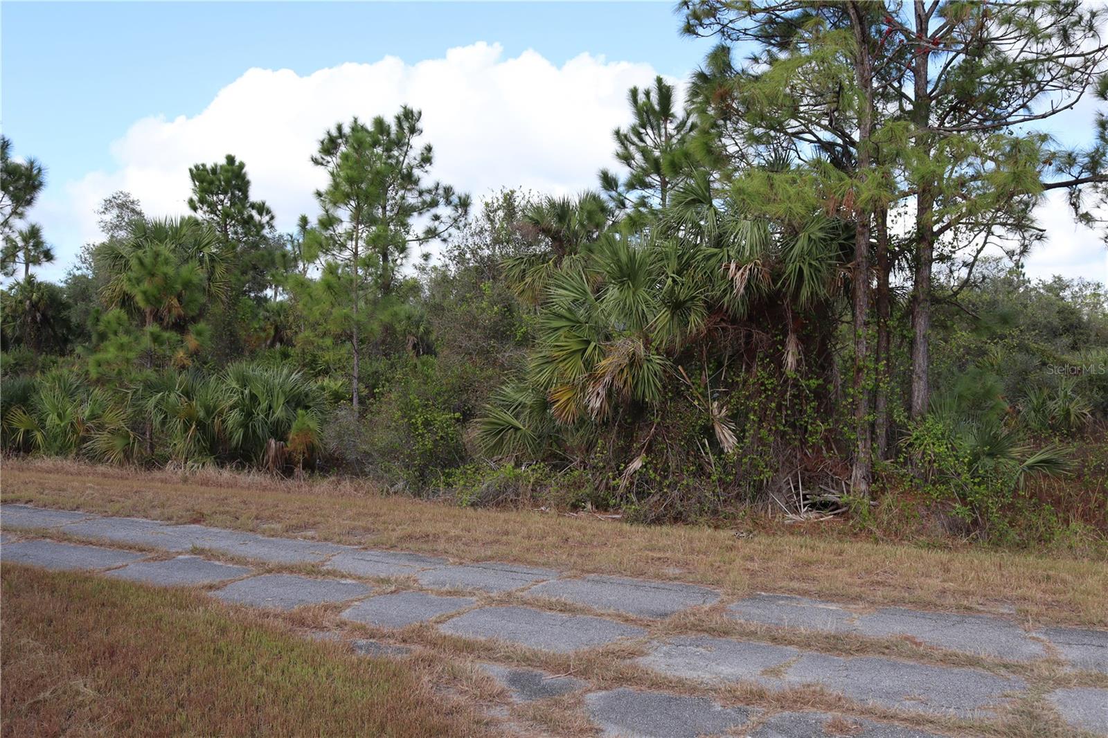 PORT CHARLOTTE SUB 44 - Land