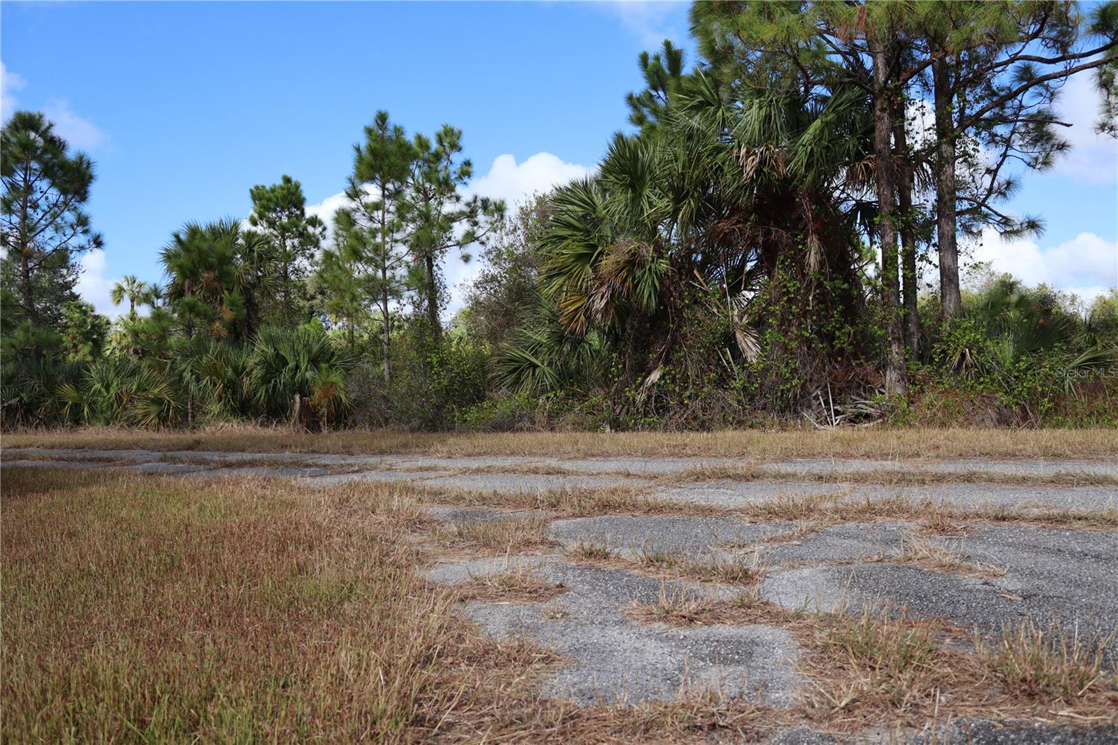 PORT CHARLOTTE SUB 44 - Land