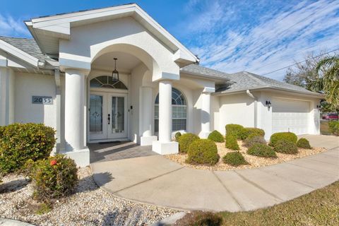 A home in PUNTA GORDA